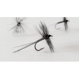 Dry fly Peacock Quill