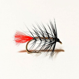 Black Zulu wet fly for trout and grayling