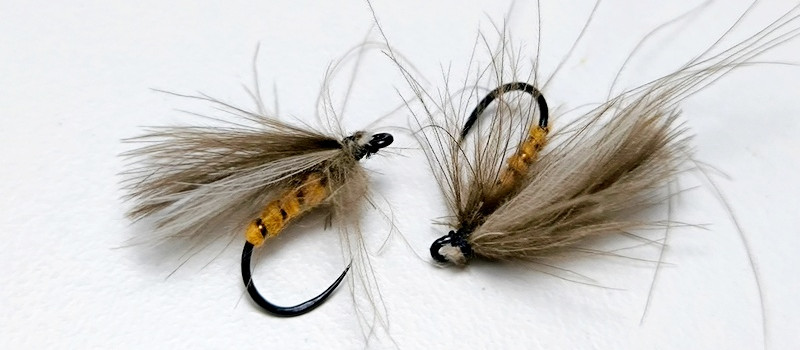 Is This CDC Dry Fly Caddis the Secret to Catching More Fish?