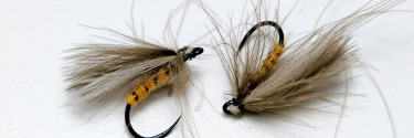 Is This CDC Dry Fly Caddis the Secret to Catching More Fish?