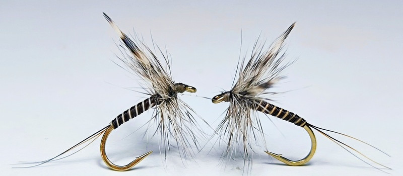 The Dry Mosquito Fly – A Trout’s Worst Nightmare