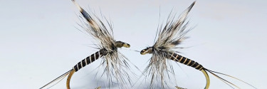 The Dry Mosquito Fly – A Trout’s Worst Nightmare