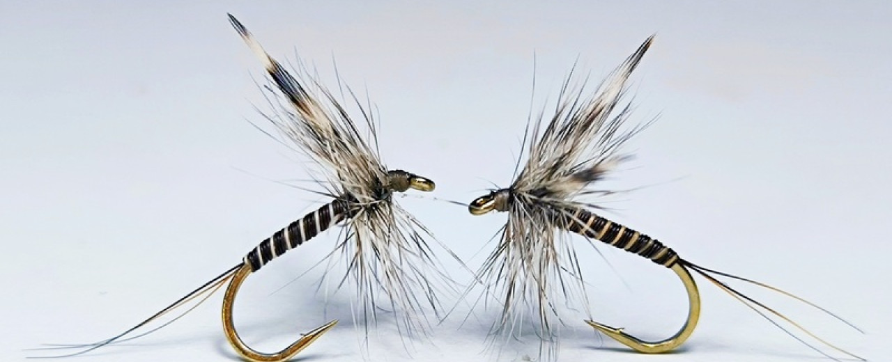 The Dry Mosquito Fly – A Trout’s Worst Nightmare