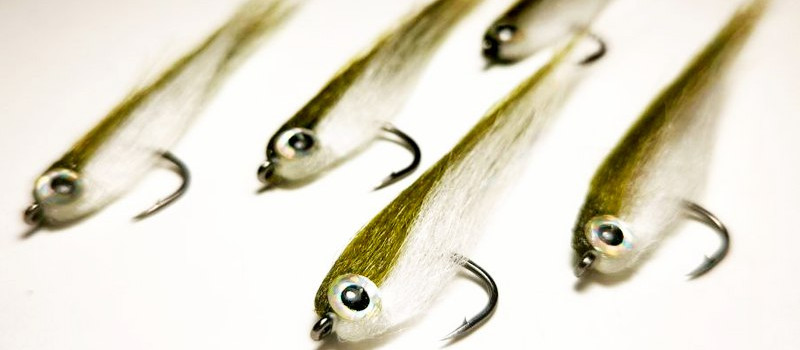 Baitfish Imitation: Your Secret Weapon for Predator Fishing