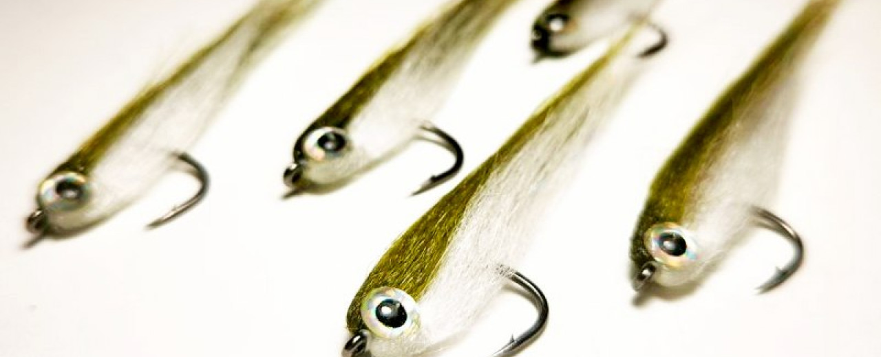 Baitfish Imitation: Vaše tajno oružje za lov grabljivica