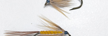 Masterclass: How to Tie the Wet Fly Pumpkin