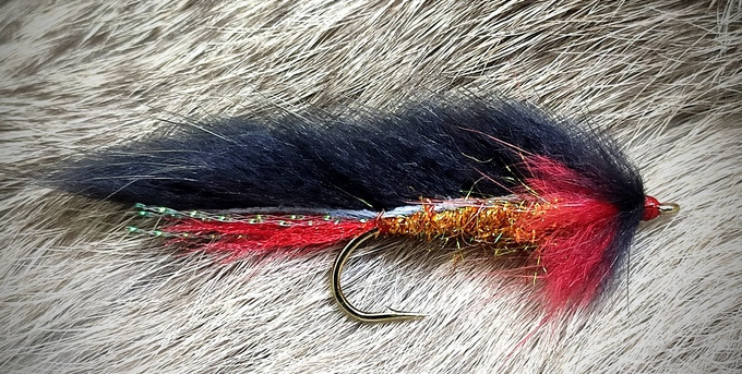 Streamer Fly