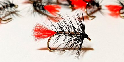 WET FLY