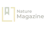 logo-3