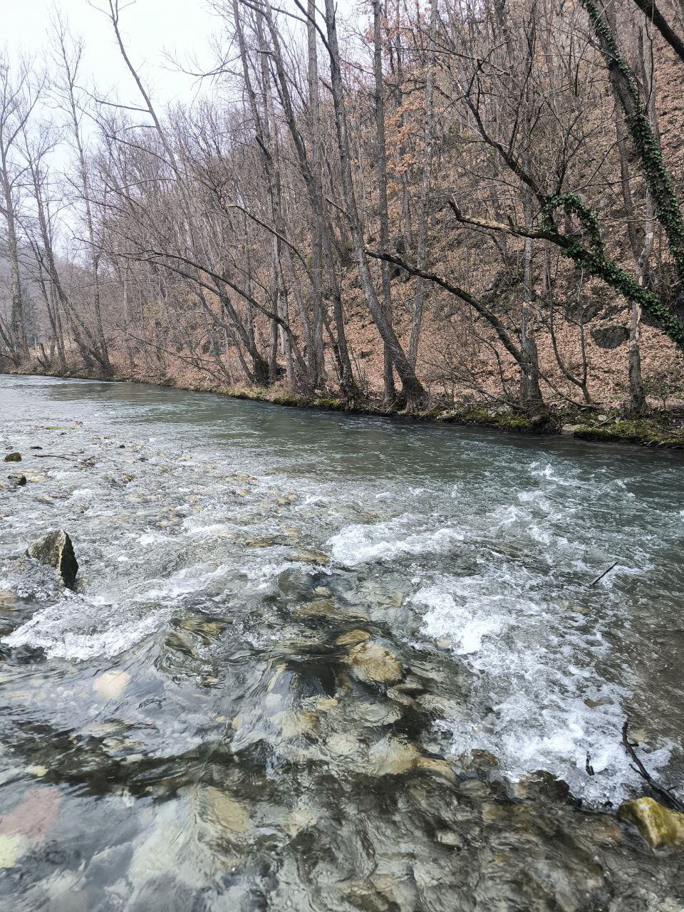Opening Day of Trout Season on the Gradac River