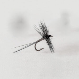 Dry fly Peacock Quill