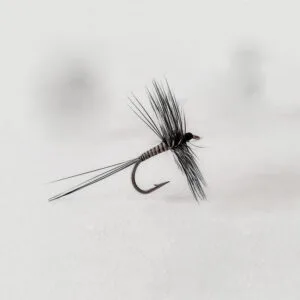 Dry fly Peacock Quill