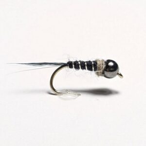 Black and silver nymph
