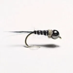Black and silver nymph