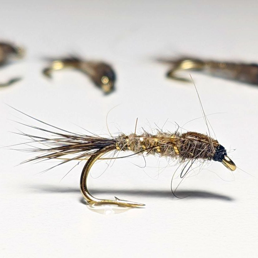 GRHE Nymph - Image 2