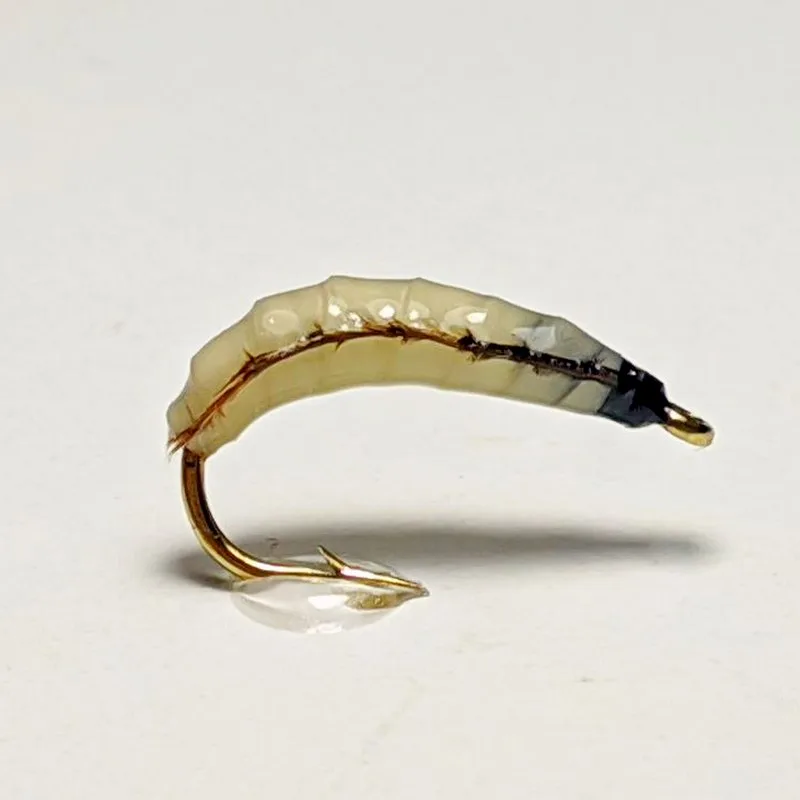 Maggot line fly nymph