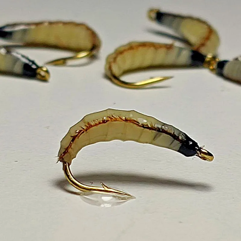 Maggot line fly nymph — изображение 3