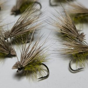Elk Hair Caddis Olive dry fly set sizes 10 12 14