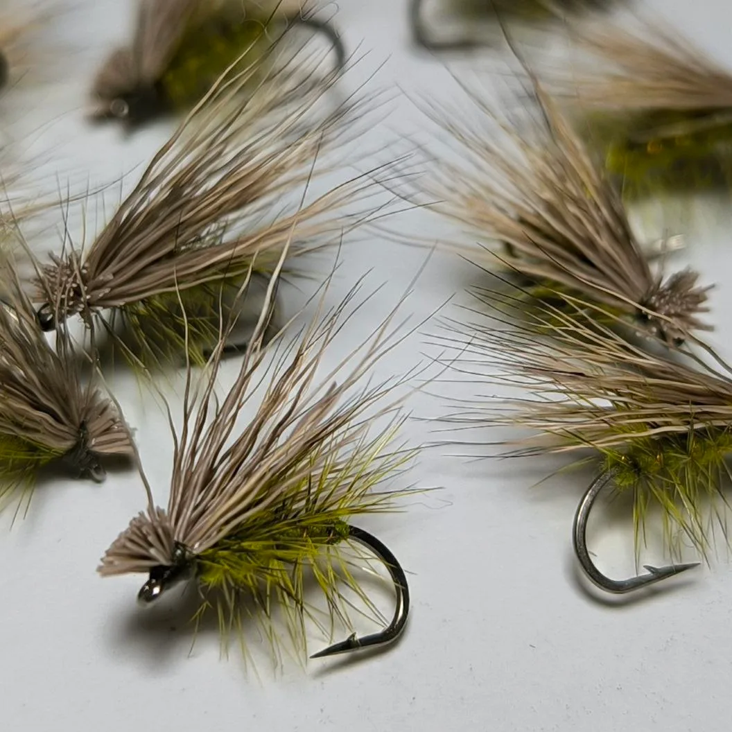 Elk Hair Caddis Olive dry fly set sizes 10 12 14