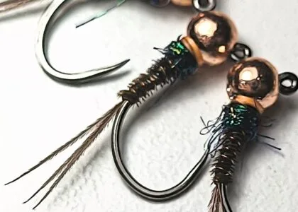Pheasant Tail Nymph