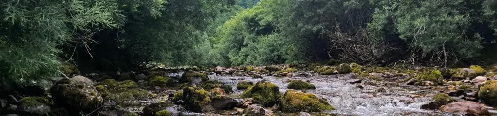 FisherFun: Professional Salmon, Trout, Greyling and Pike Flies & Gear